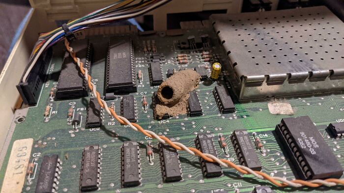 Compré una Vic 20 de Commodore. Vino con un nido de avispas. Creo que esto está bien