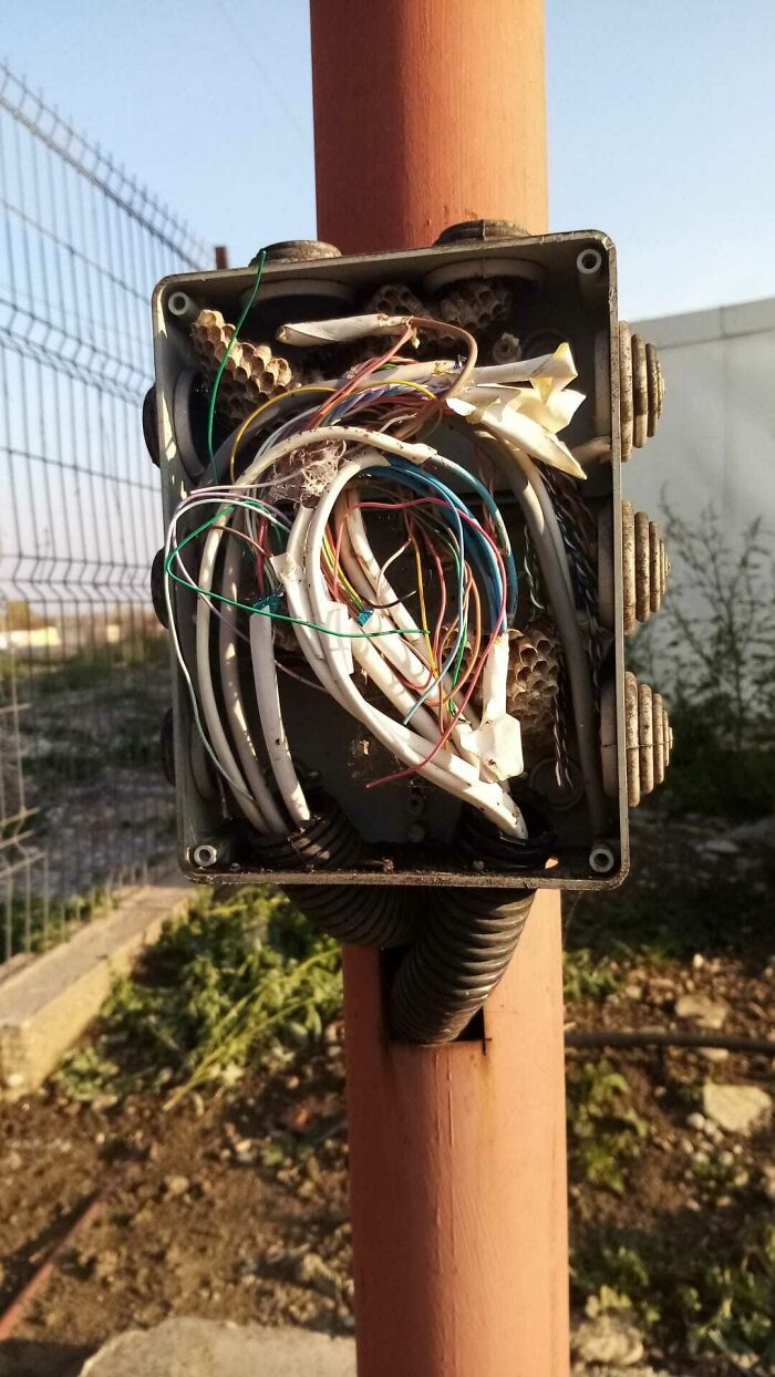 El cliente afirma que "nuestro intercomunicador en la puerta no funciona" Mientras, en la caja de conexiones...