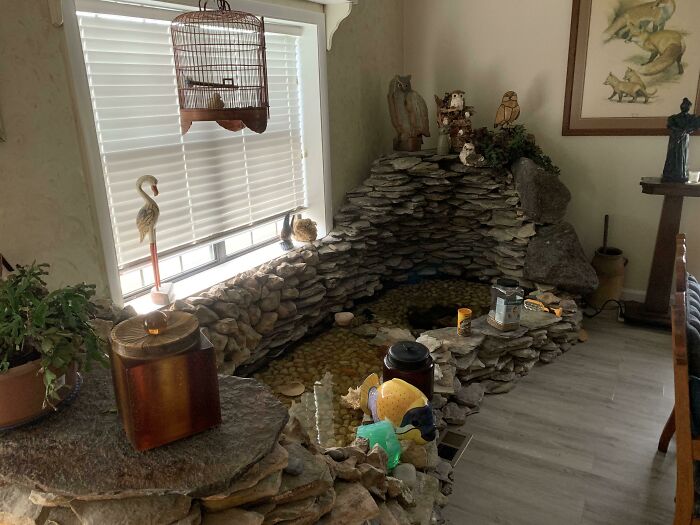 Mis abuelos tienen un estanque de peces en su sala 