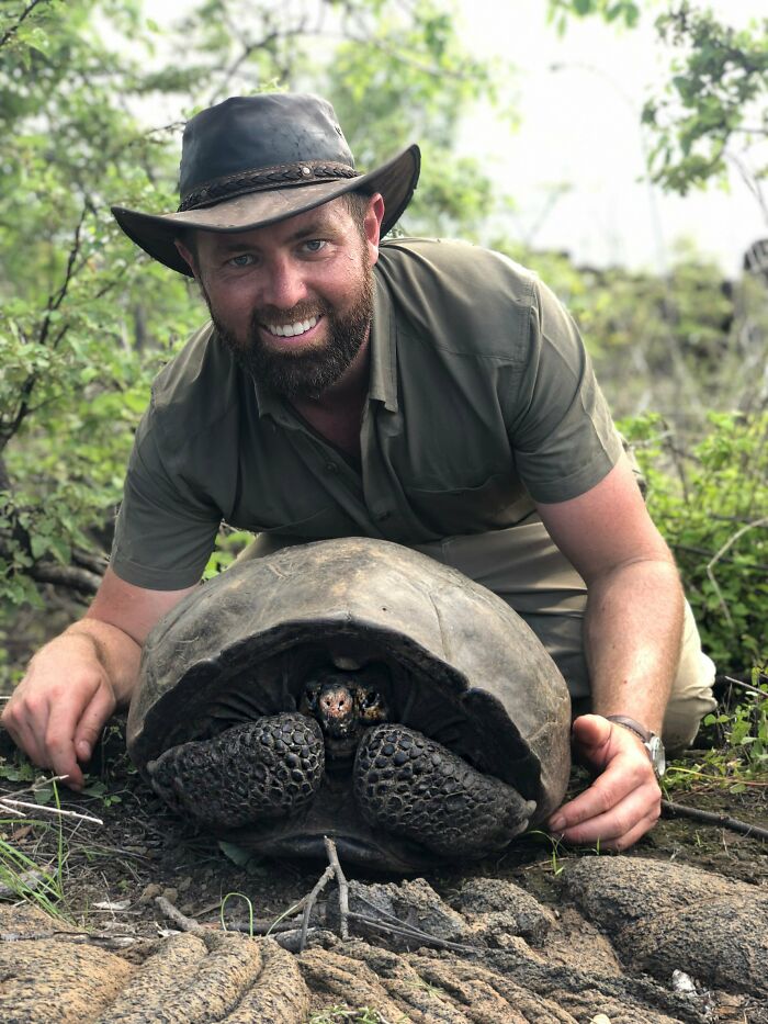 Las tortugas fernandinas se supone que estaban extintas desde 1906. Se encontró esta en una expedición, cerca de un volcán