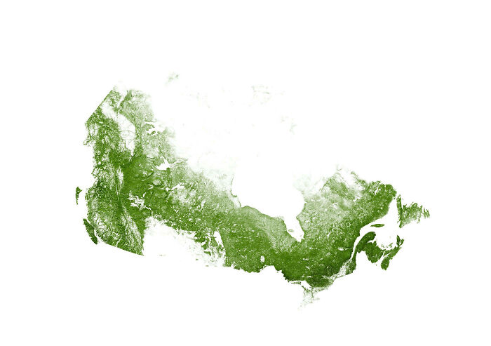 Canada, pero sólo sus árboles