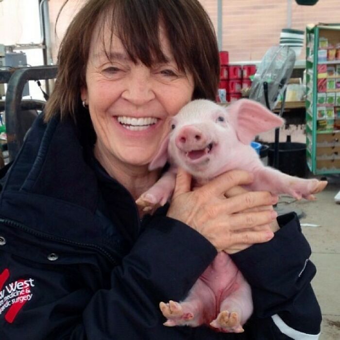 Aquí hay una foto de mi madre sosteniendo un cerdito sonriente