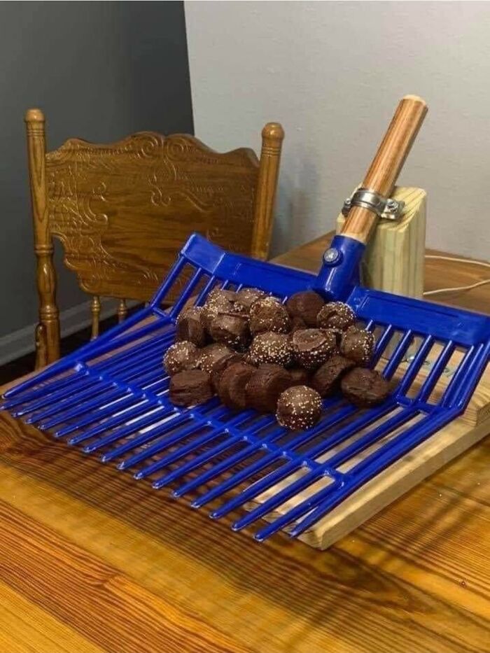 Trufas de chocolate "caca de caballo" en una pala para recoger estiércol. Simplemente no