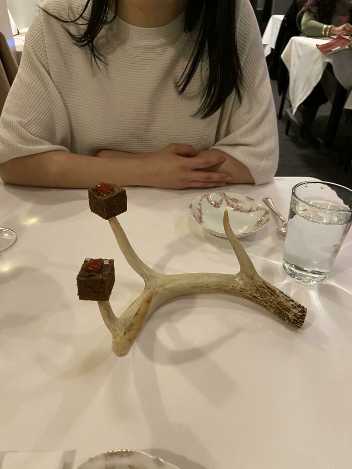 Cubos de venado en una cornamenta de ciervo (fue realmente increíble)