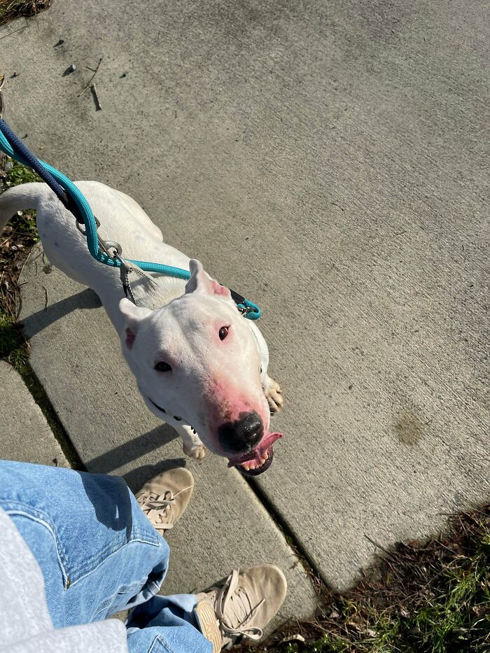 No tengo mucha gente a la que contárselo, ¡¡¡pero aprobaron mi solicitud para adoptar a esta hermosa chica!!! 
