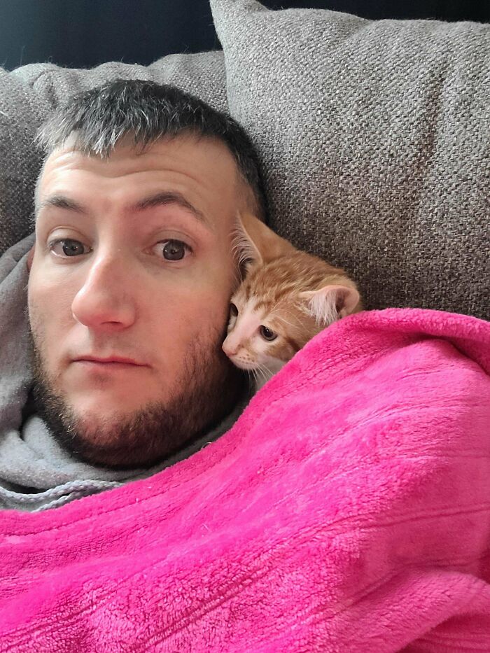 Cosas que no esperaba hacer hoy: 1. Adoptar un gatito