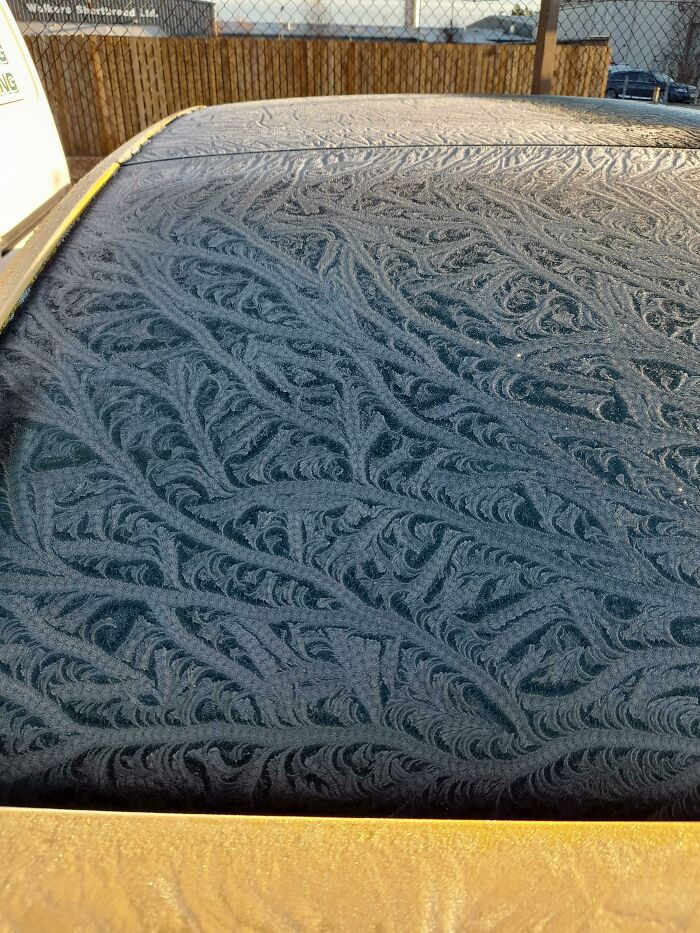 Patrón de escarcha en un coche esta mañana