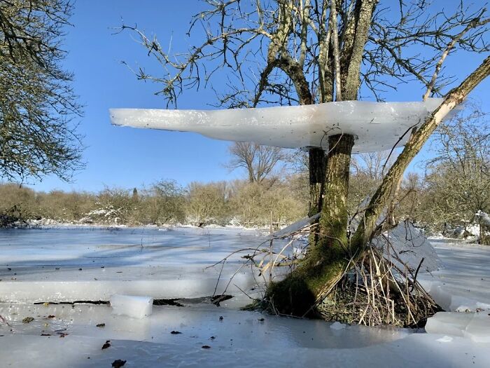 Esta plataforma de hielo flotante después de que baje el nivel del agua