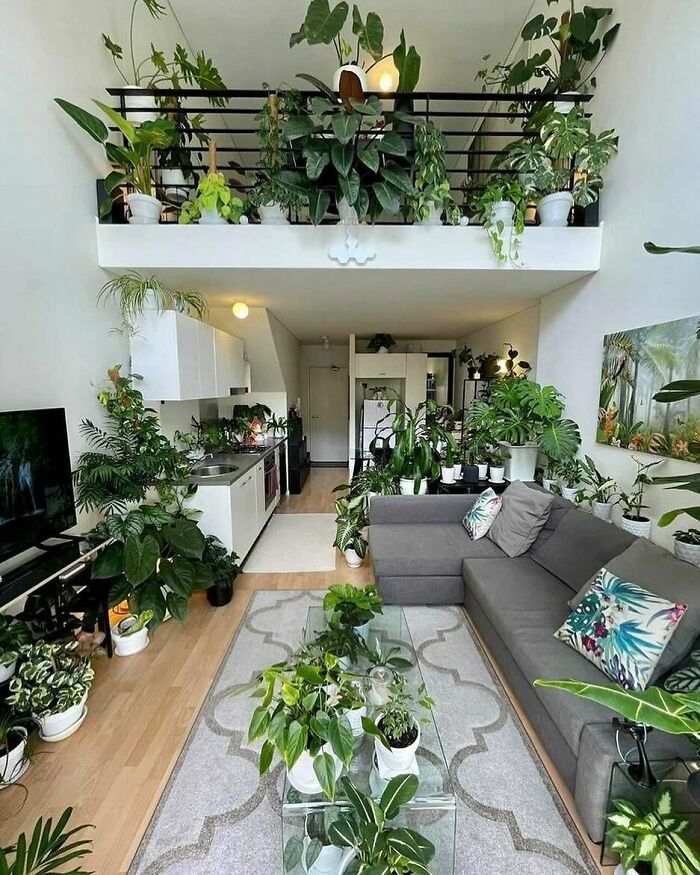 Cuando se te va la mano con las plantas