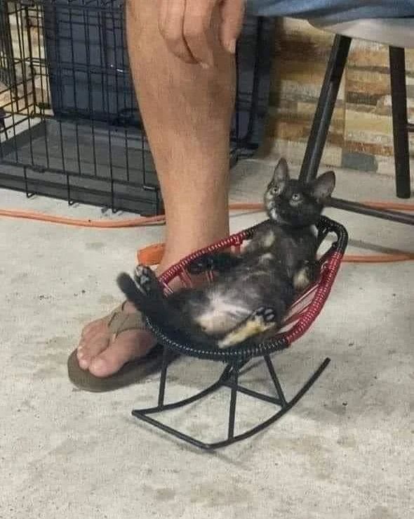Sábado tranquilo