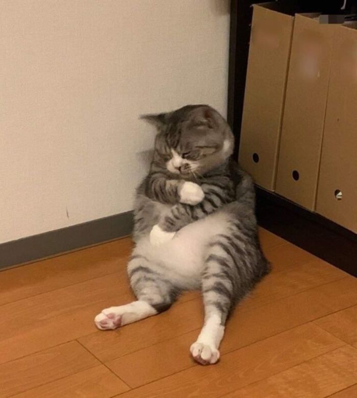 Qué semana, ¿no?