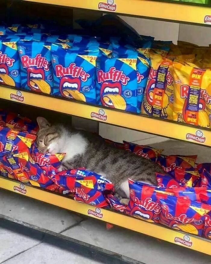 Está disfrutando de su colchón de aire