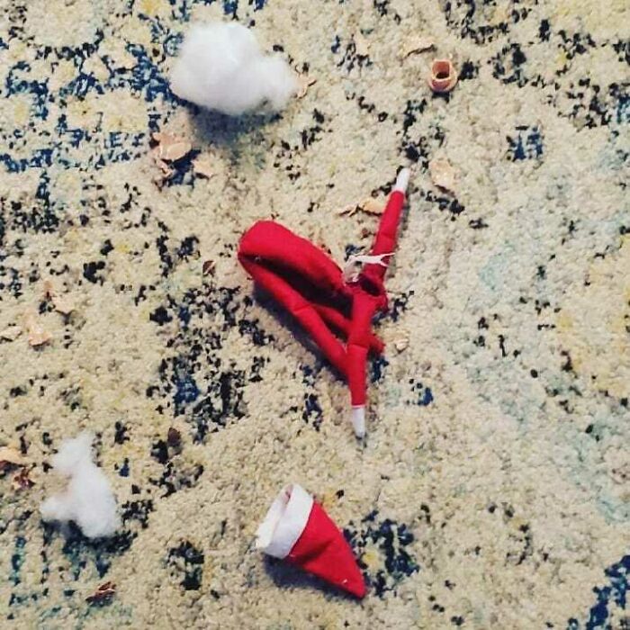 El cachorro atrapó al elfo y bueno...