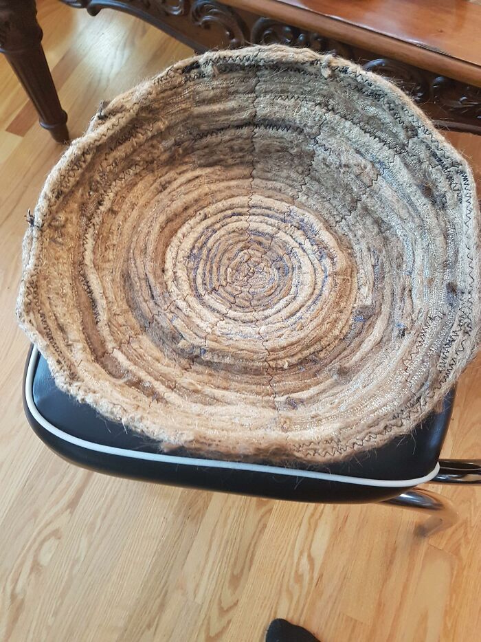 Esta cama de rastas