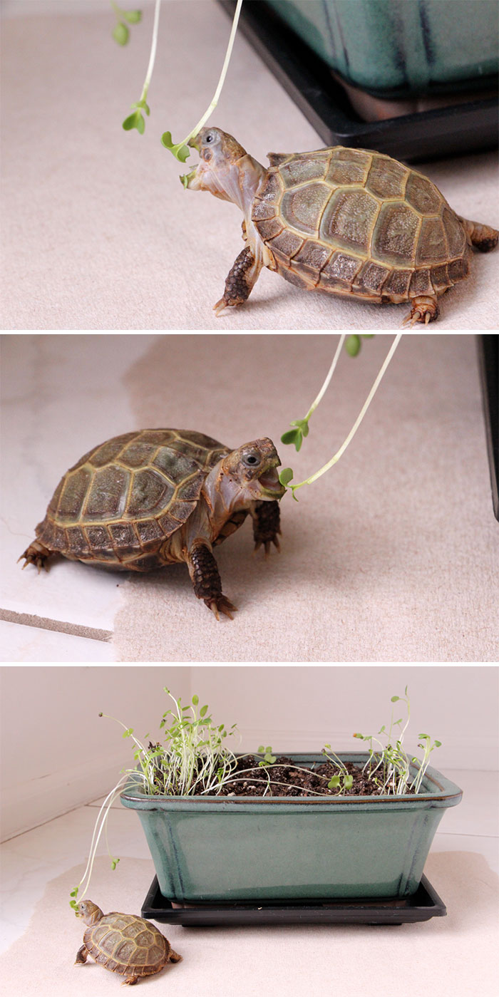 ¿No es adorable?