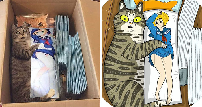 Tactooncat ilustra 30 de las fotos de gatos más famosas y divertidas de internet (Nuevas imágenes)