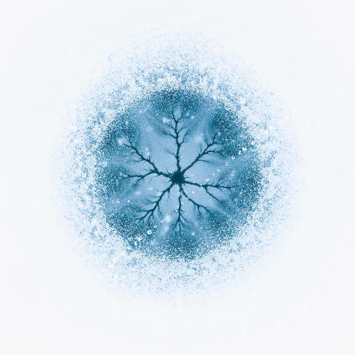 Ganador de la categoría Arte natural: “Célula de hielo” por Gheorghe Popa