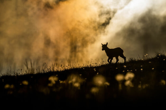 Ganador de la categoría Juventud: “Un mundo hermoso” por Levi Fitze