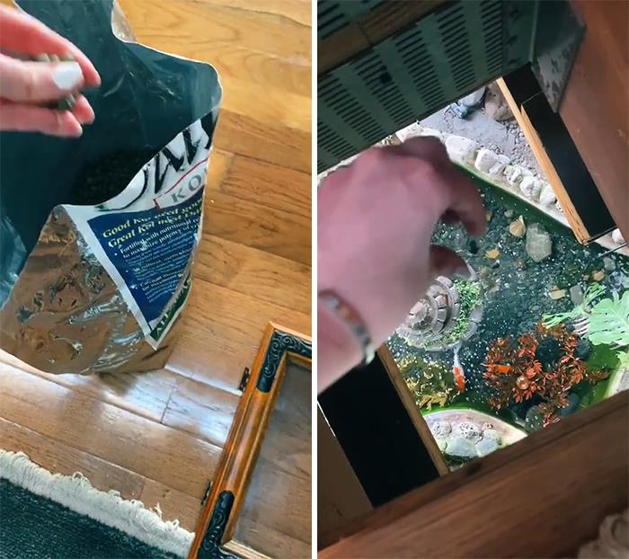 "Everybody Has That One Thing In Their House That Everybody Thinks Is So Cool" 35 People Share Their Unique Homes
