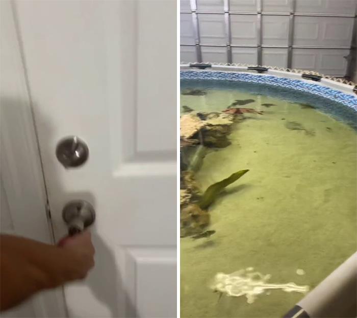 "Everybody Has That One Thing In Their House That Everybody Thinks Is So Cool" 35 People Share Their Unique Homes