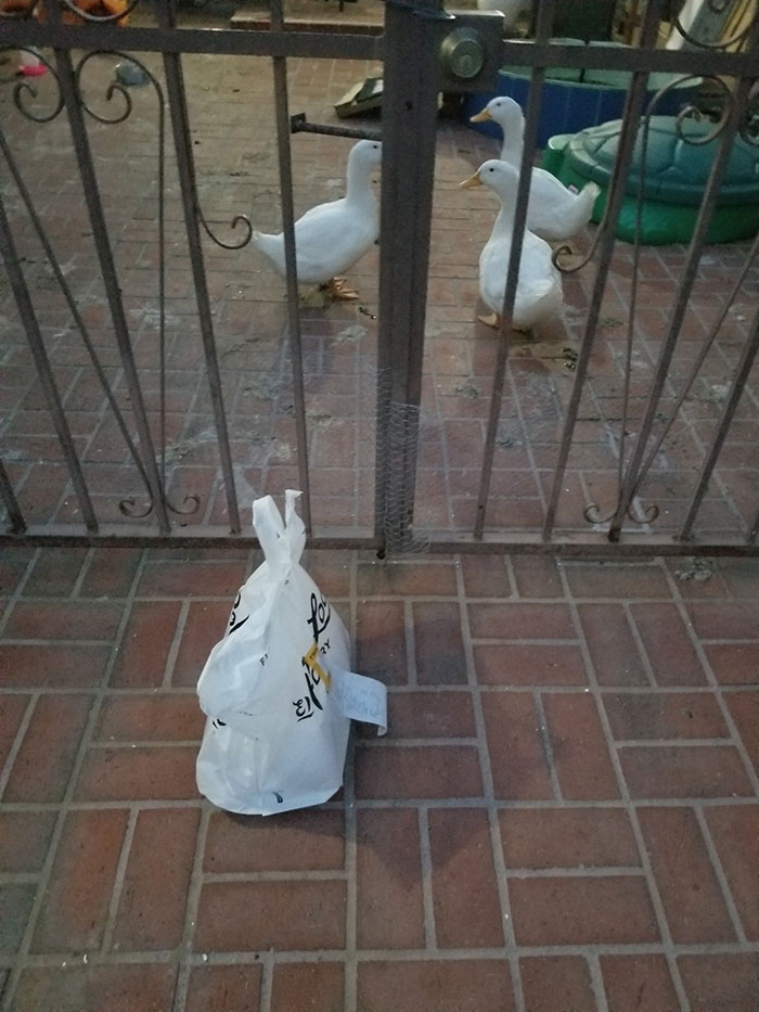 Esto me sorprendió cuando entregué el pedido jajaja