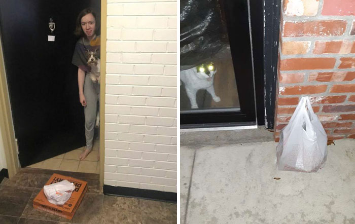 La gente se muere de risa con estas 20 divertidas fotos de «prueba de entrega» compartidas en internet