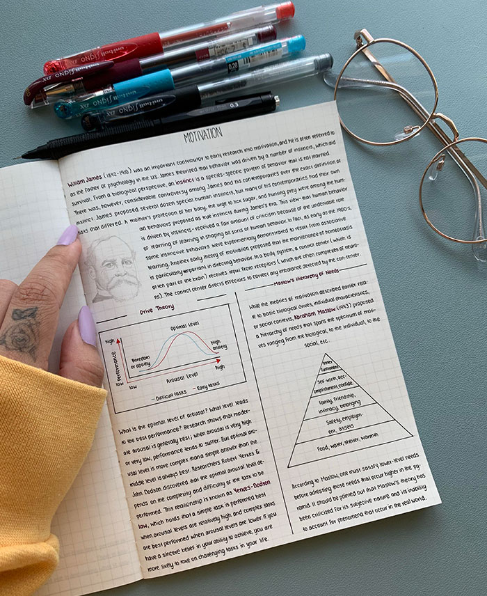 Mis apuntes de psicología