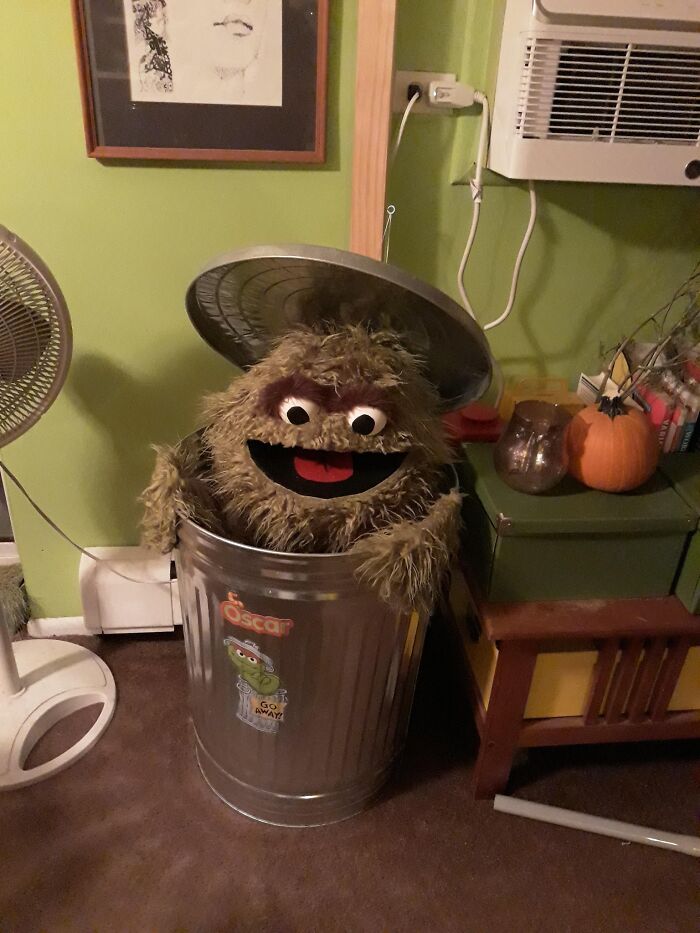 Puede que haya ganado todo este juego de hallazgos extraños y maravillosos... Oscar el Gruñón, a través de un grupo de Buy Nothing en Facebook. Lo quiero mucho. Este es él en mi casa