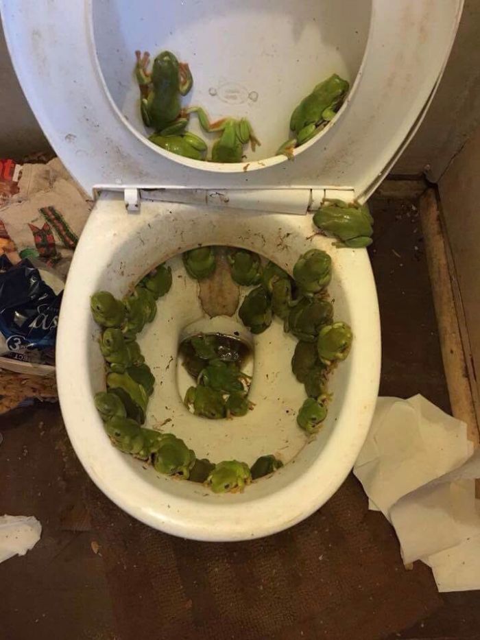 This Twitter Page Collects The Most ‘Cursed’ Images Online, Here Are 50 Of The Best