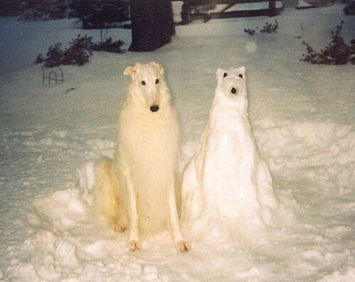 This Twitter Page Collects The Most ‘Cursed’ Images Online, Here Are 50 Of The Best