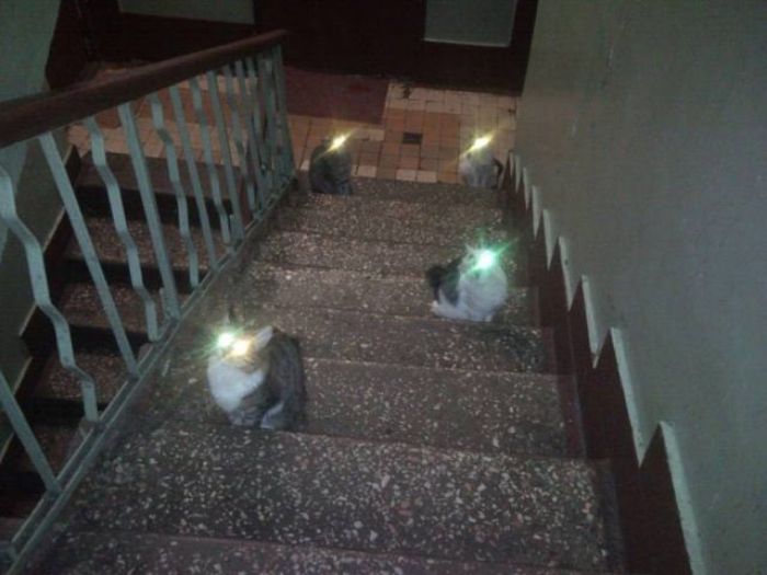 This Twitter Page Collects The Most ‘Cursed’ Images Online, Here Are 50 Of The Best