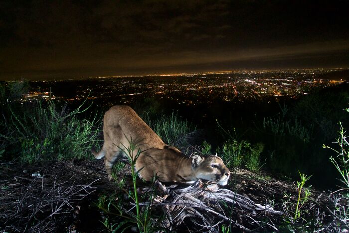 18 Situaciones ocurridas durante la noche que tomaron por sorpresa a estas personas