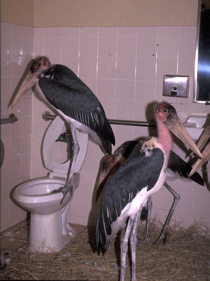 This Twitter Page Collects The Most ‘Cursed’ Images Online, Here Are 50 Of The Best