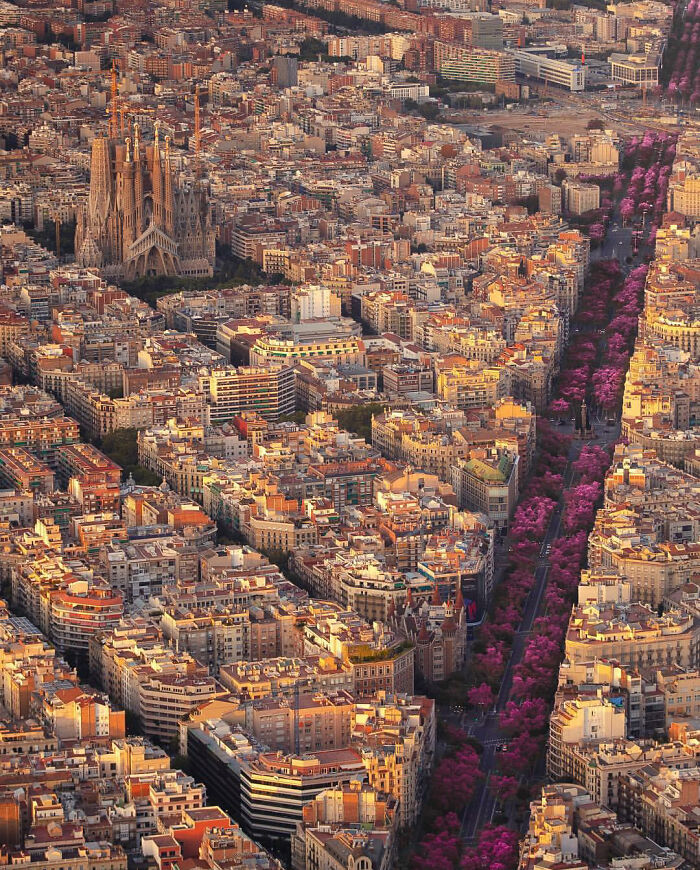Flores en Barcelona