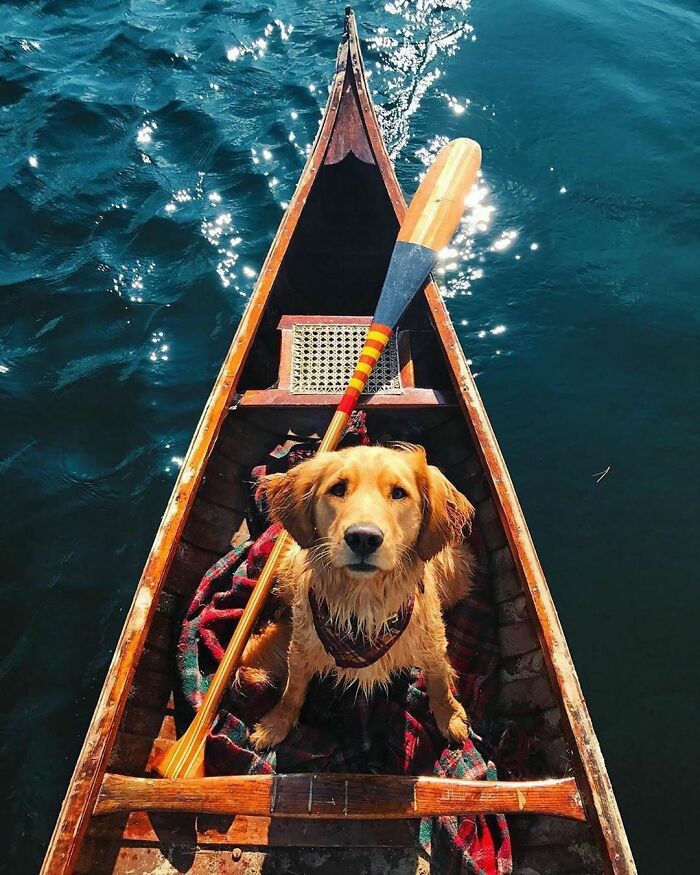 ¡El mejor amigo del mundo! 