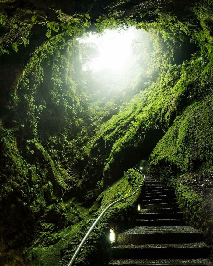 Un paseo por un bosque tropical dentro de un volcán de la isla de Terceira 