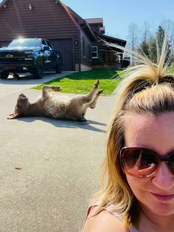 Uno de los burros de mi amiga disfrutando el sol