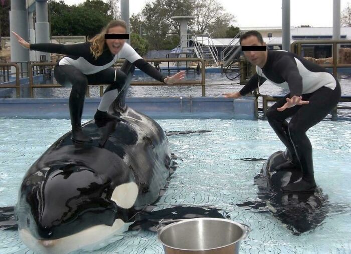 No vayas a Seaworld