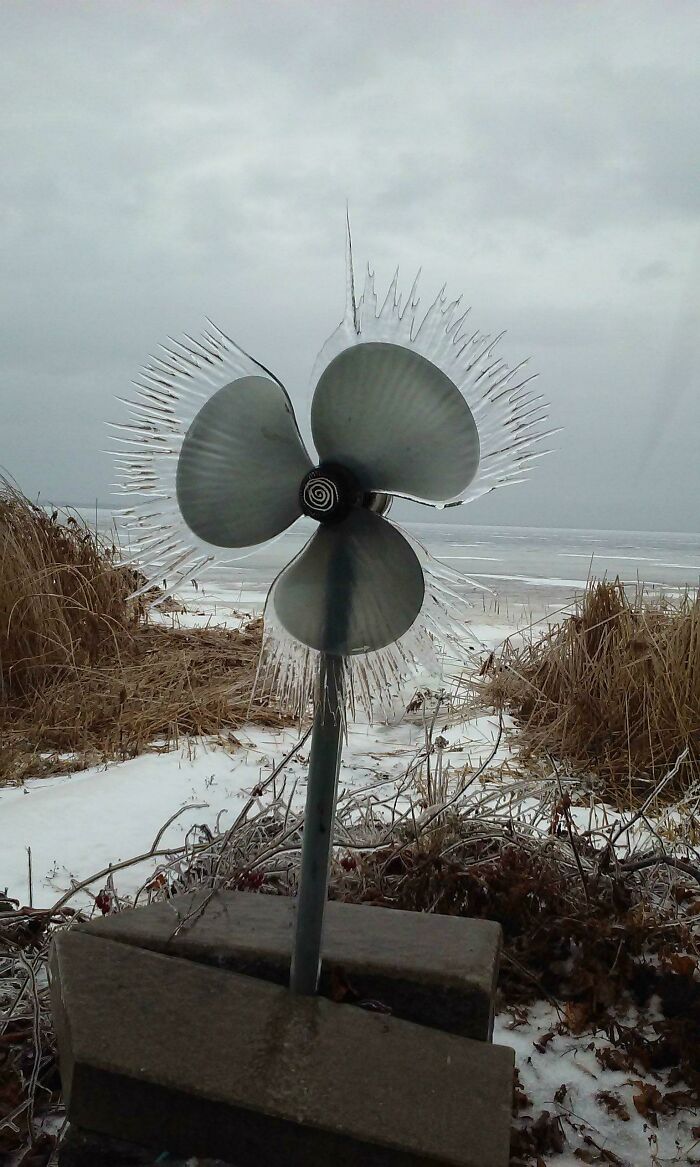 Cuando el viento se une a la lluvia helada