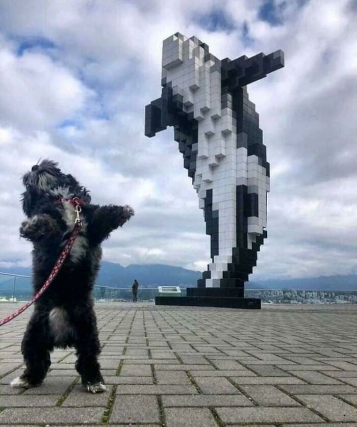 Imitación bendecida