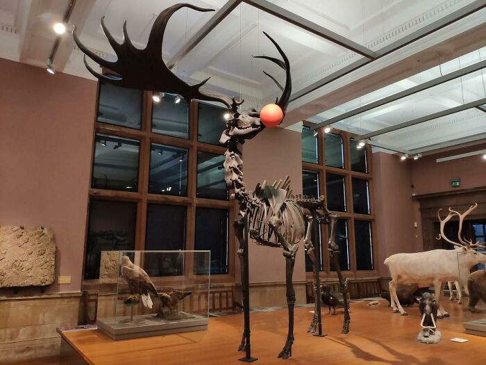 Museo Kelvingrove con su espíritu navideño