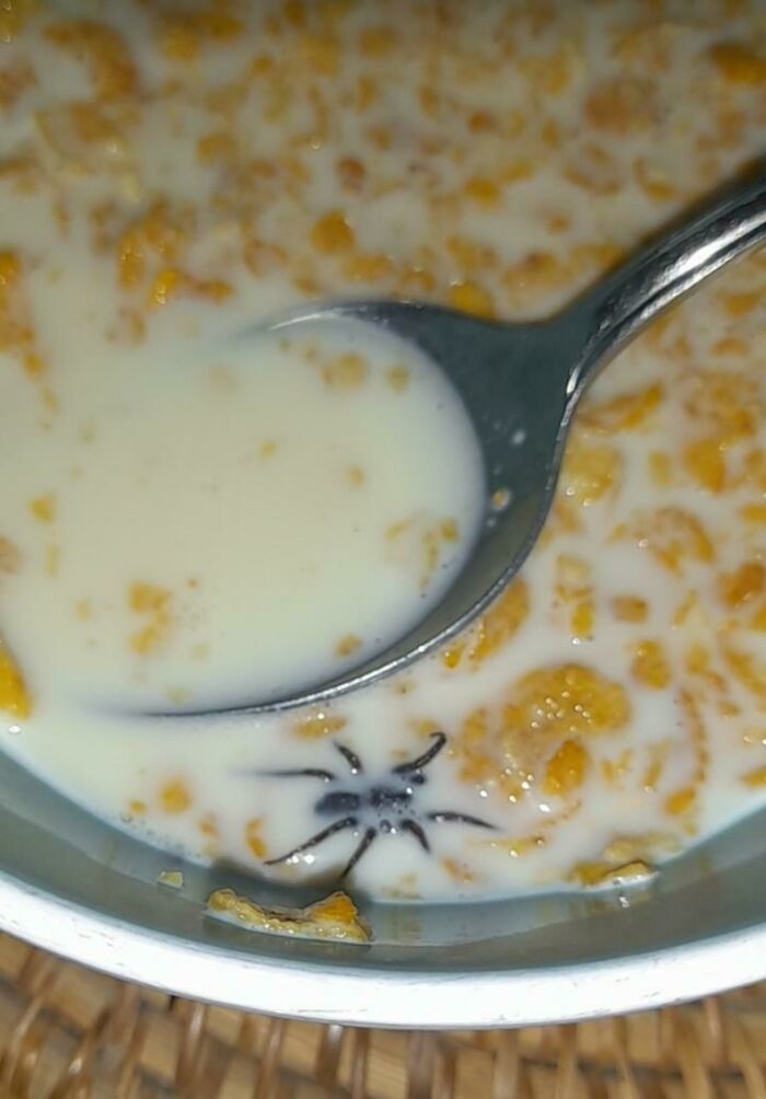 Comeré pan tostado