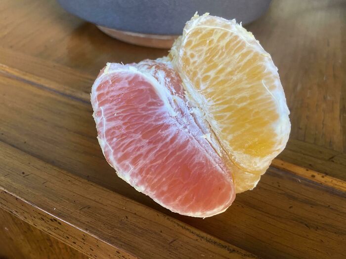 Mi naranja tenía segmentos en dos tonos de... naranja