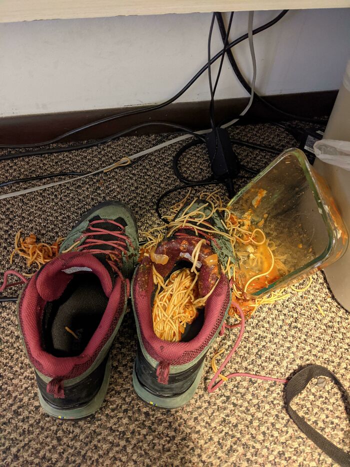 Esta semana comenzó con un rompimiento, luego tuvieron que remolcar mi auto, ahora derramé espaguetis en mi zapato