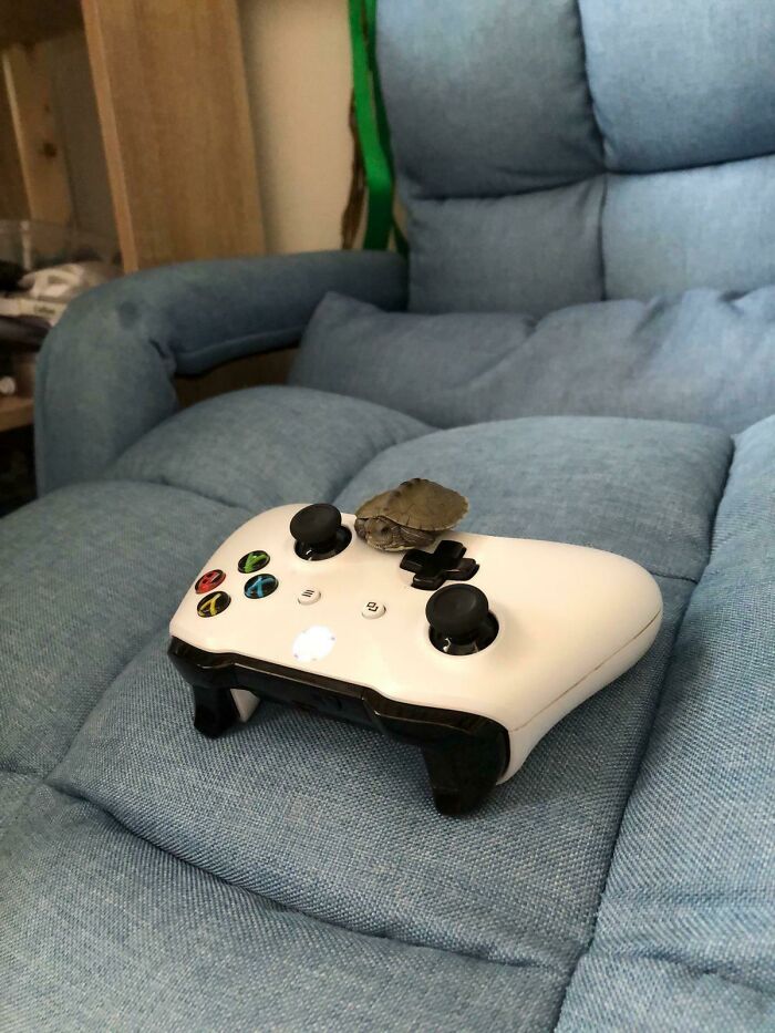 No sé si le gusta jugar