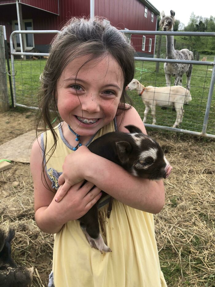 Después de esperar 115 días, ¡nuestra pequeña granjera se despertó con nuevos cerditos Kunekune!