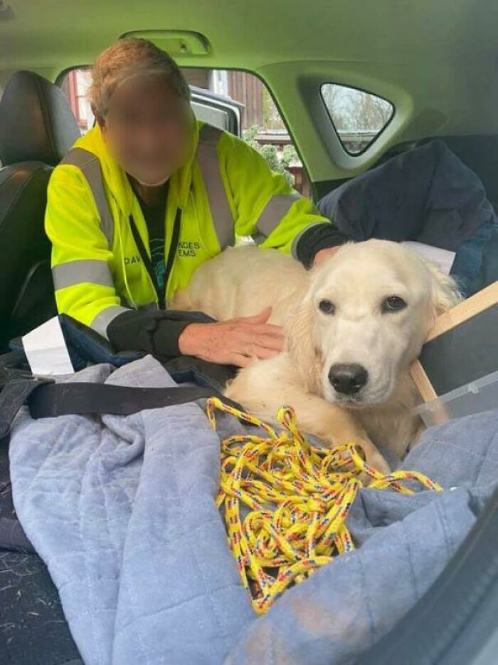 Un desconocido manejó durante dos horas y utilizó su dron para poder encontrar a Meadow, quien llevaba 10 días perdida en el bosque