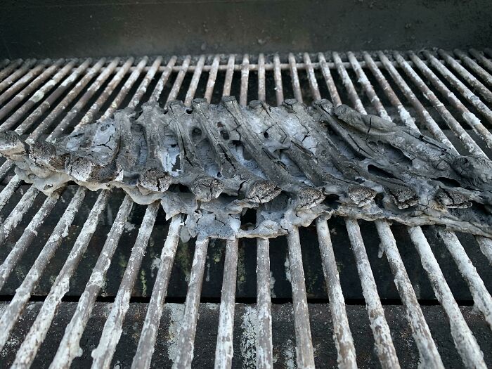 Mi cena de costillas de cerdo. No estoy seguro de si el estrés causa pérdida de memoria a corto plazo, pero puse las costillas, entré en el trabajo y aquí estamos dos horas más tarde con la parrilla a tope