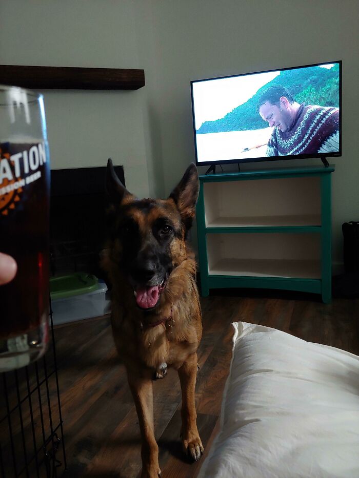 Mi esposa se quedó con la casa luego del divorcio. Yo me mudé. Esto es con lo que me quedé. Salud