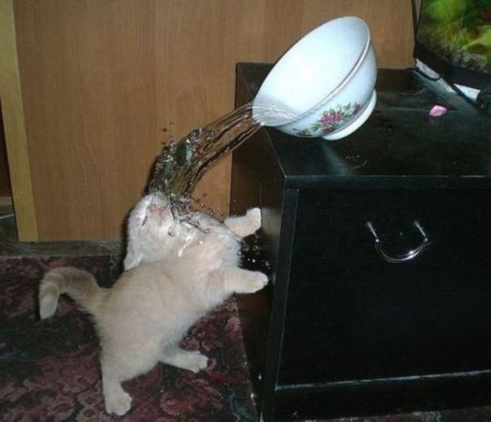 This Twitter Page Collects The Most ‘Cursed’ Images Online, Here Are 50 Of The Best